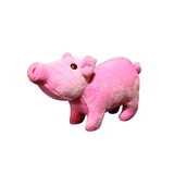 Perry The Tough Piglet